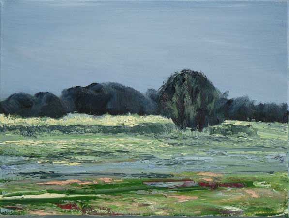 landschap32-30x40--2008.jpg