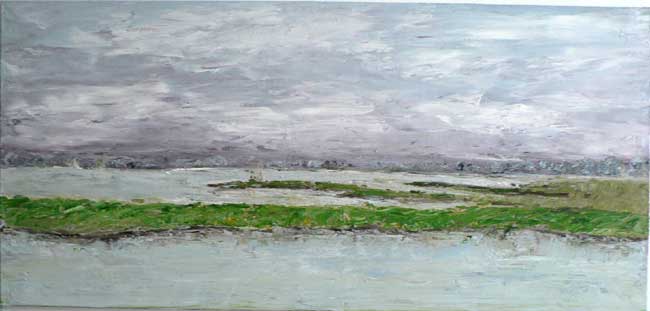 nieuwkoopseplassen2---75x16.jpg