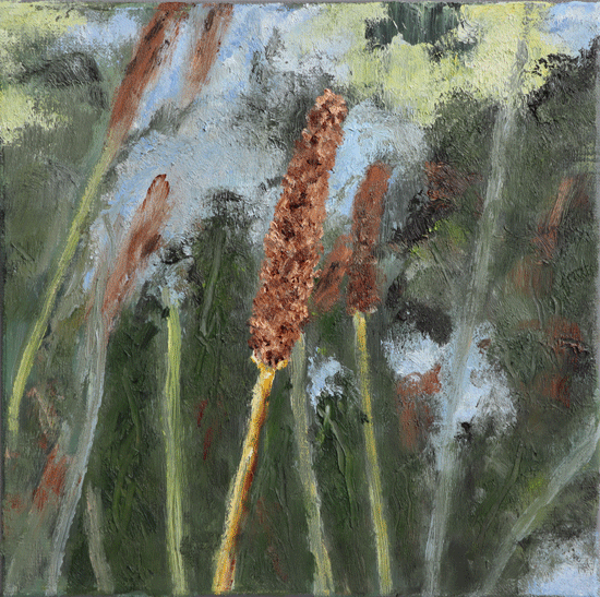 Smalle-weegbree-3--30x30---.gif